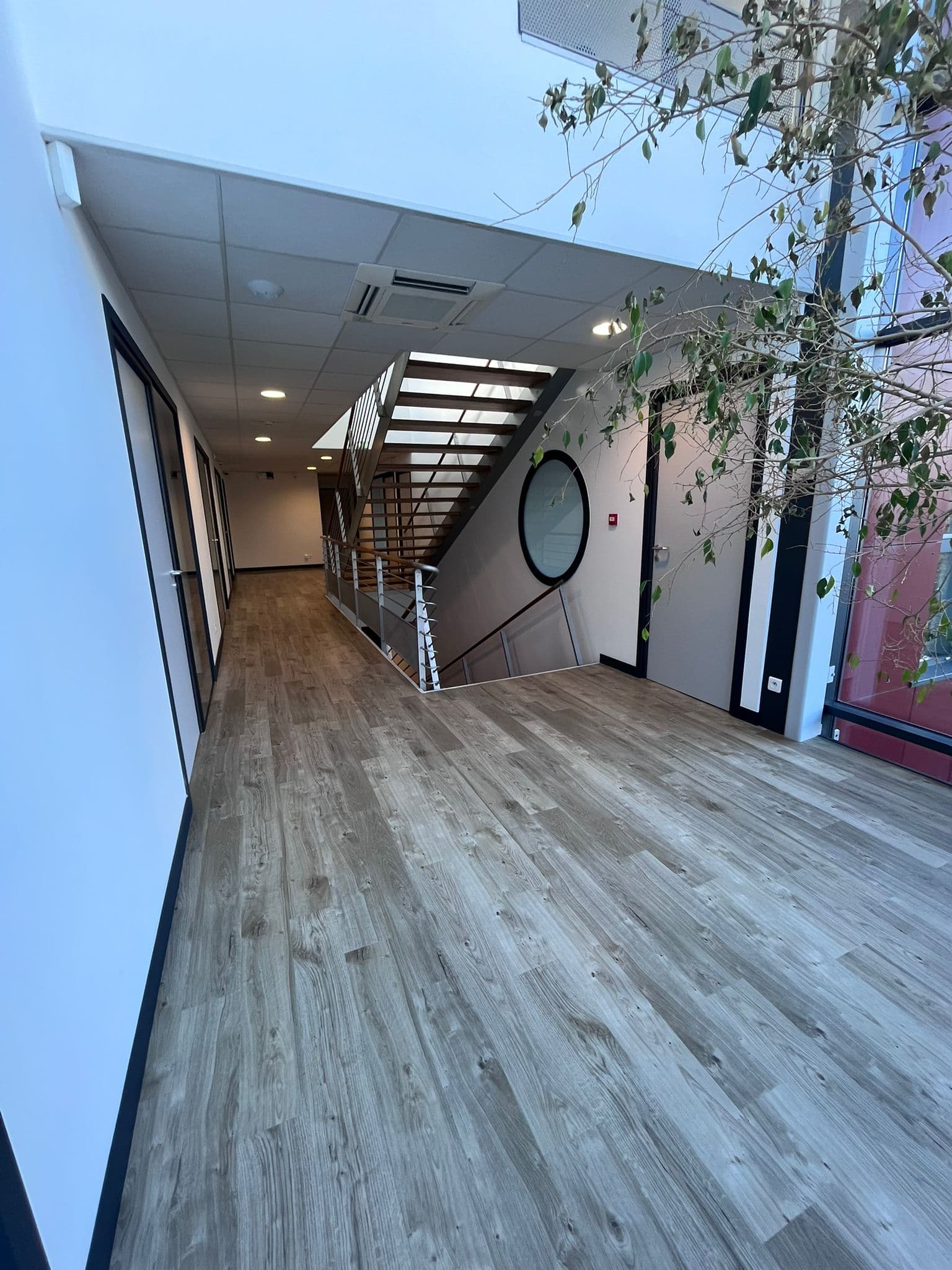 Sol professionnel nettoyé Annecy