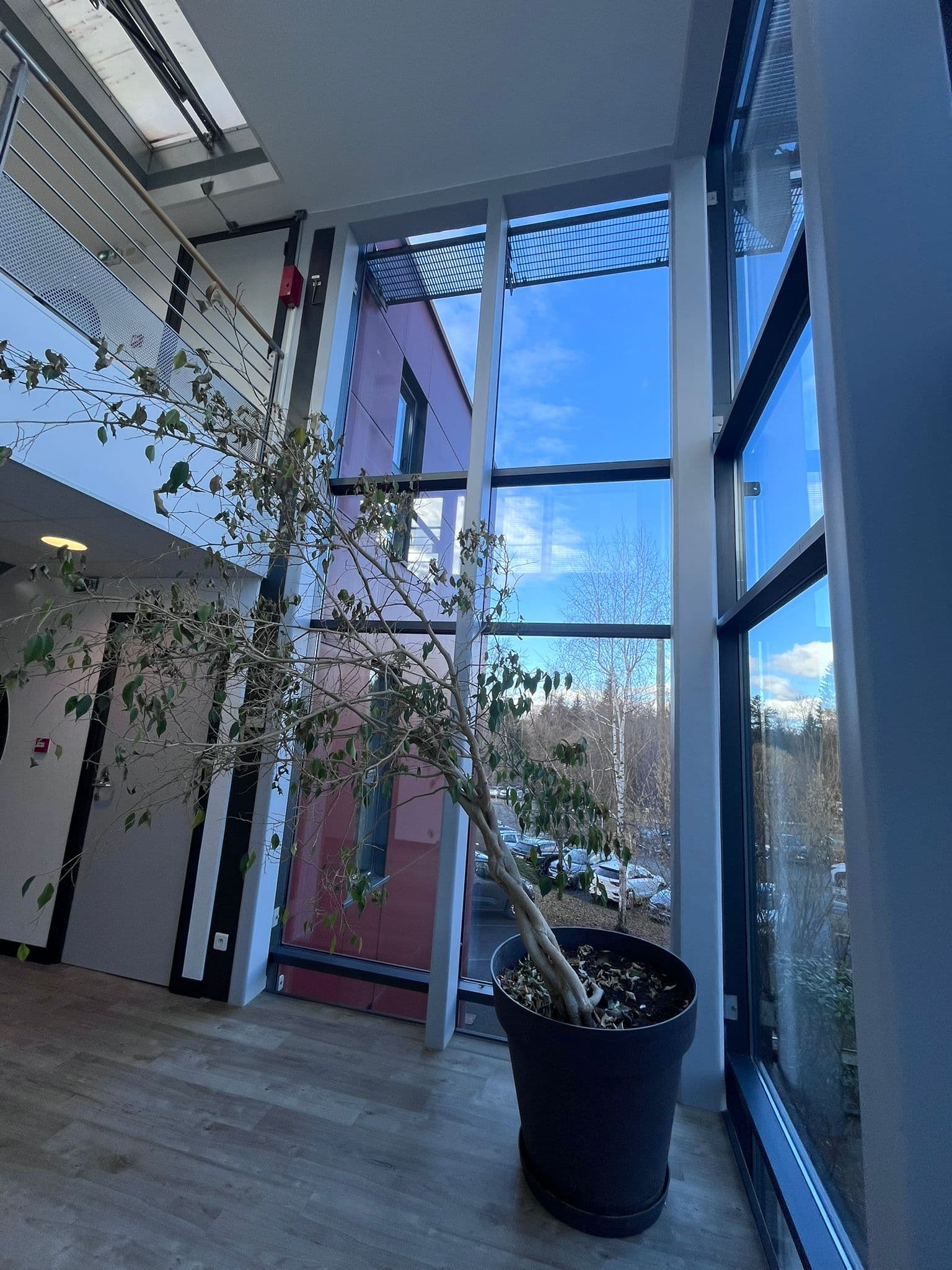 Vitrerie ouverte nettoyée Annecy